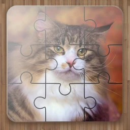 Jogos de Quebra Cabeça Gatos