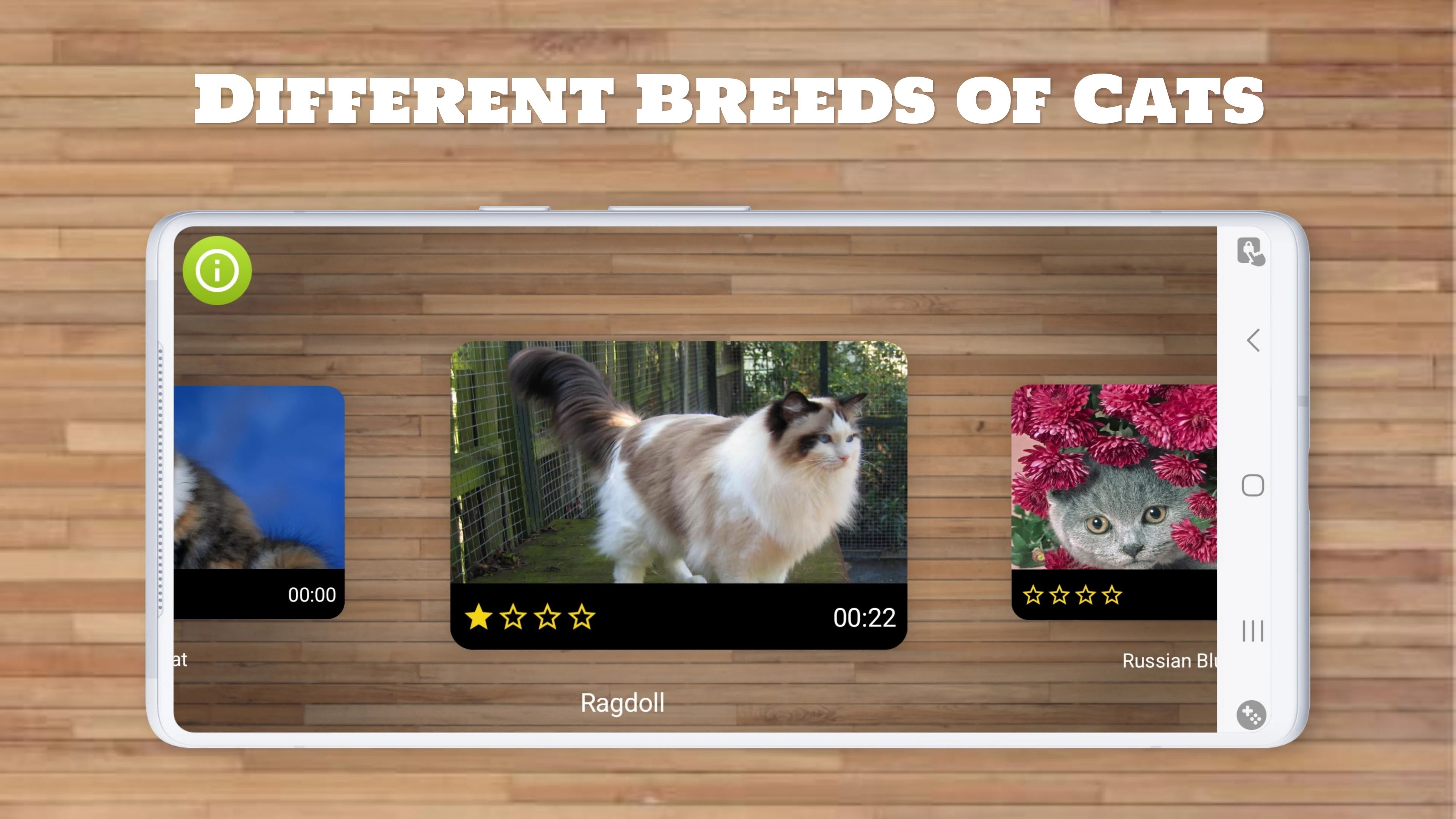 Cat Puzzle Game screenshot