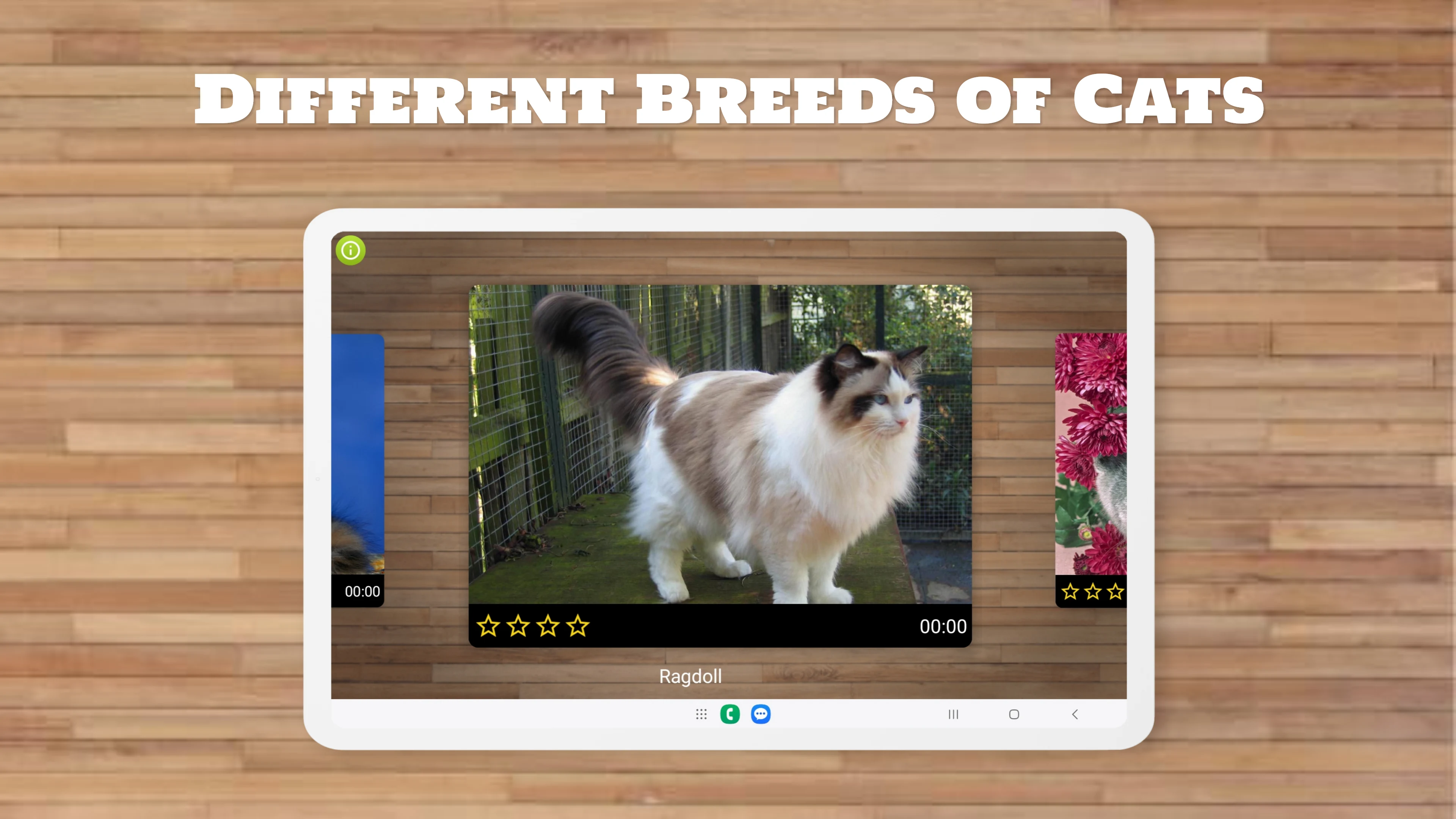Cat Puzzle Game screenshot