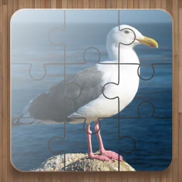 Symbol von Vogel Puzzle Spiele
